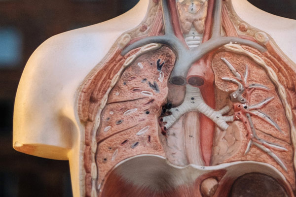 Leading Implant Brands: Osstem, Medentika, and Straumann - Affordable Dental Treatments in Turkey