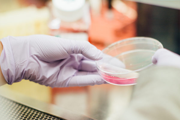 Complete Transparency